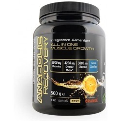 ANABOLIC RECOVERY 500gr...